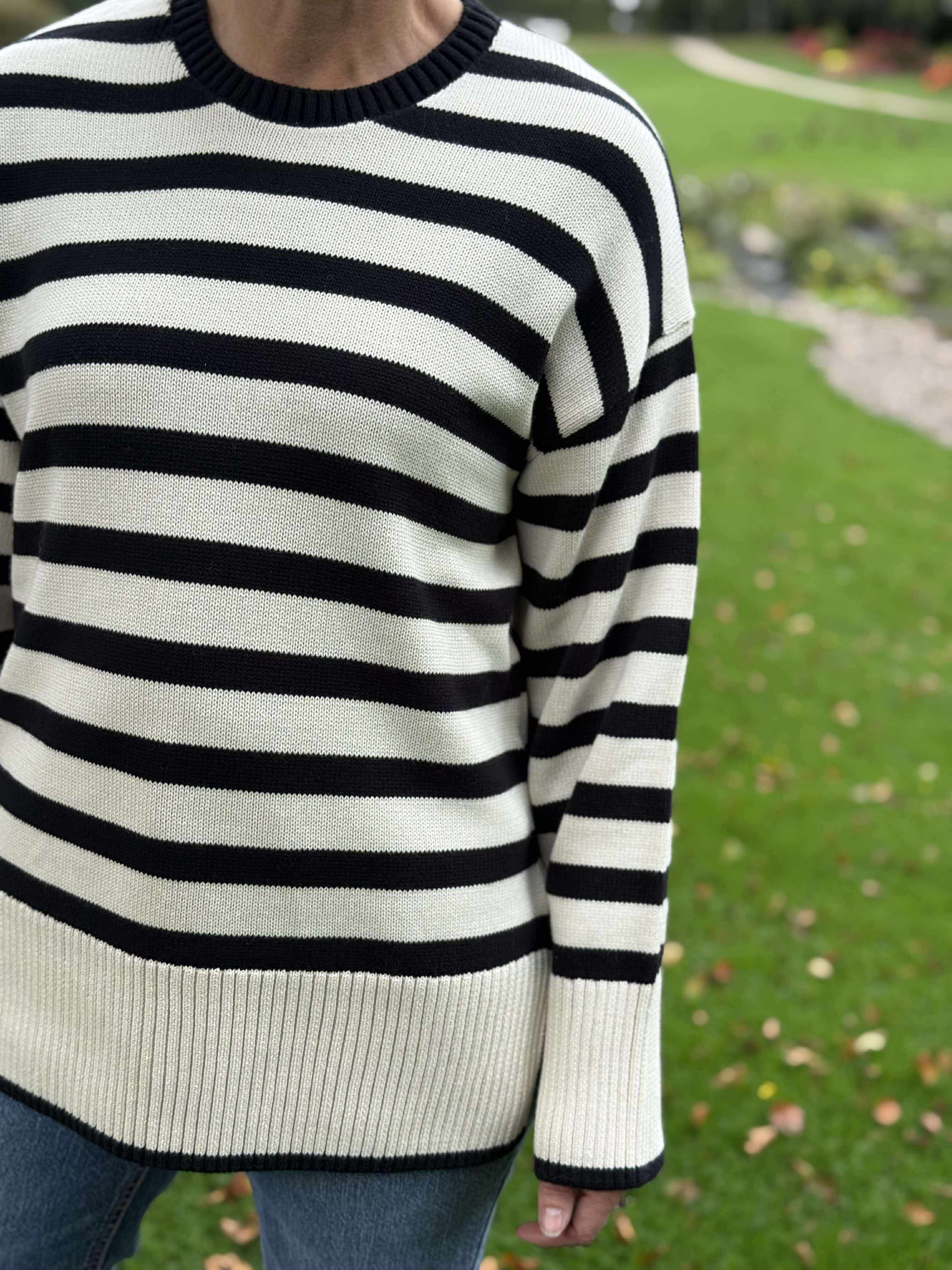 PCAVA Pullover - Birch